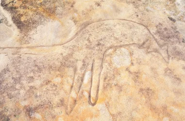 Aboriginal Rock Carving of Kangaroo, Jibbon Head, Royal National Park, Sydney, Australia
